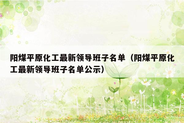 阳煤平原化工最新领导班子名单（阳煤平原化工最新领导班子名单公示）