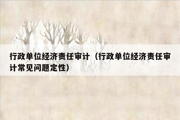 行政单位经济责任审计（行政单位经济责任审计常见问题定性）