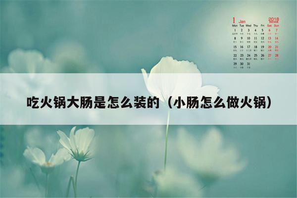 吃火锅大肠是怎么装的（小肠怎么做火锅）