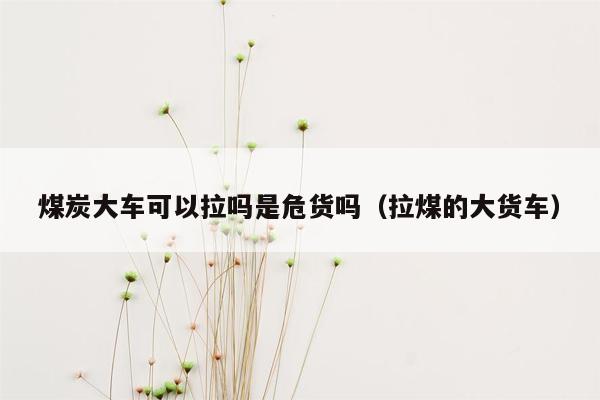 煤炭大车可以拉吗是危货吗（拉煤的大货车）