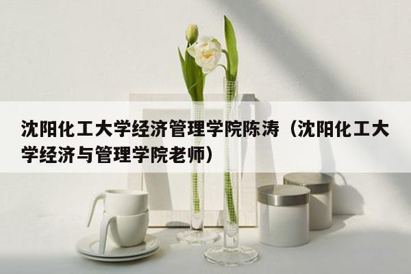 沈阳化工大学经济管理学院陈涛（沈阳化工大学经济与管理学院老师）