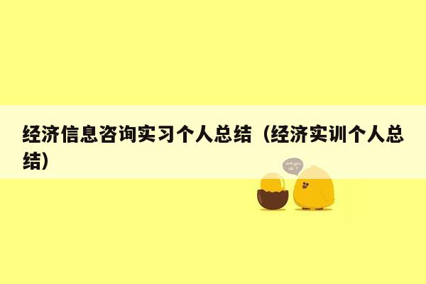 经济信息咨询实习个人总结（经济实训个人总结）