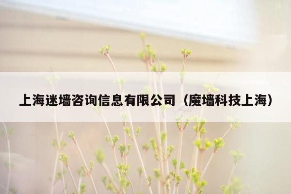 上海迷墙咨询信息有限公司（魔墙科技上海）