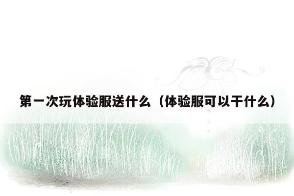 第一次玩体验服送什么（体验服可以干什么）