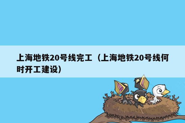 上海地铁20号线完工（上海地铁20号线何时开工建设）