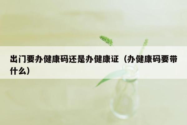 出门要办健康码还是办健康证（办健康码要带什么）