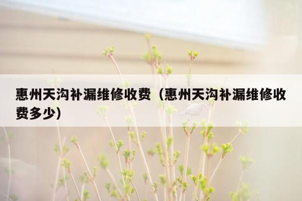 惠州天沟补漏维修收费（惠州天沟补漏维修收费多少）