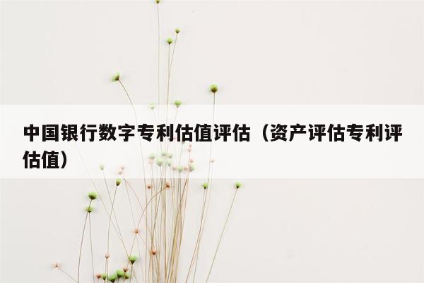 中国银行数字专利估值评估（资产评估专利评估值）