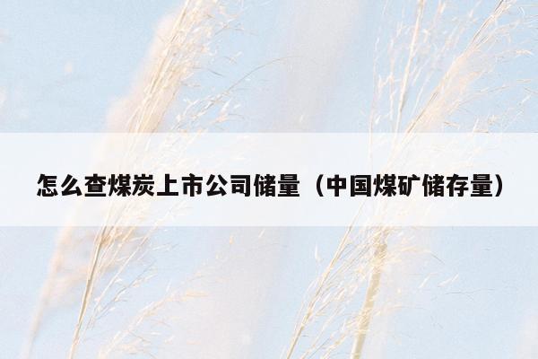 怎么查煤炭上市公司储量（中国煤矿储存量）