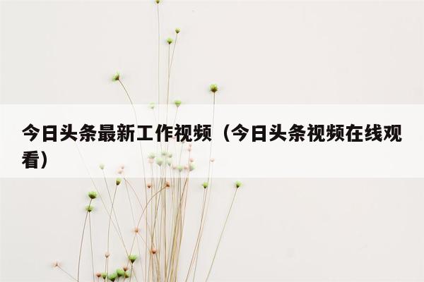 今日头条最新工作视频（今日头条视频在线观看）