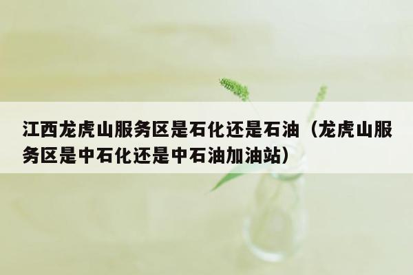 江西龙虎山服务区是石化还是石油（龙虎山服务区是中石化还是中石油加油站）