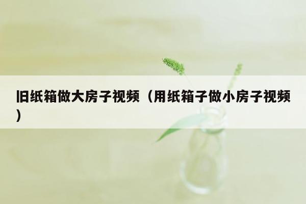 旧纸箱做大房子视频（用纸箱子做小房子视频）