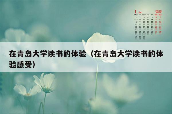 在青岛大学读书的体验（在青岛大学读书的体验感受）