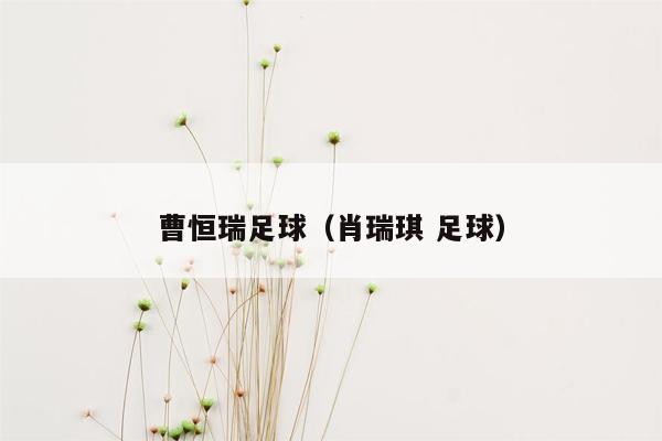 曹恒瑞足球（肖瑞琪 足球）