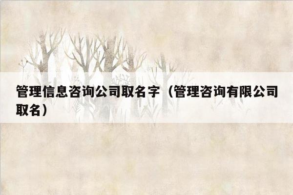 管理信息咨询公司取名字（管理咨询有限公司取名）