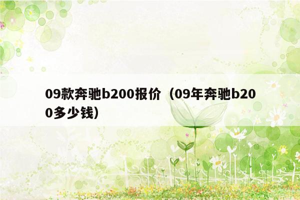 09款奔驰b200报价（09年奔驰b200多少钱）