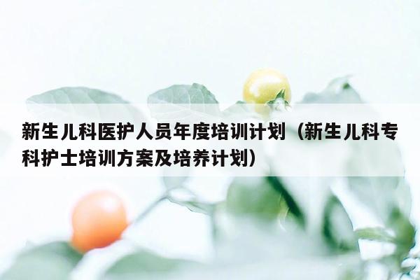 新生儿科医护人员年度培训计划（新生儿科专科护士培训方案及培养计划）