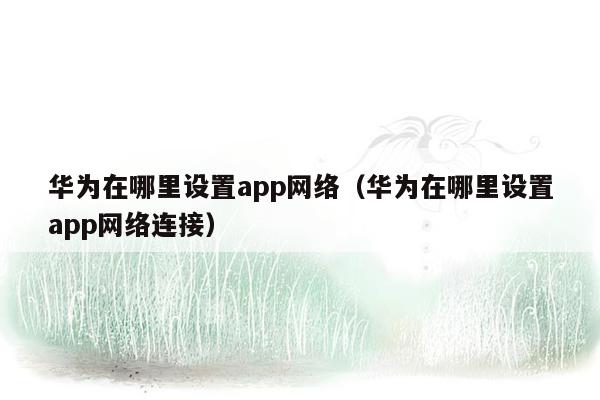 华为在哪里设置app网络（华为在哪里设置app网络连接）