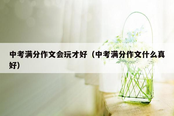 中考满分作文会玩才好（中考满分作文什么真好）