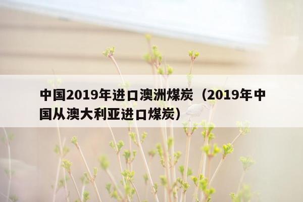 中国2019年进口澳洲煤炭（2019年中国从澳大利亚进口煤炭）