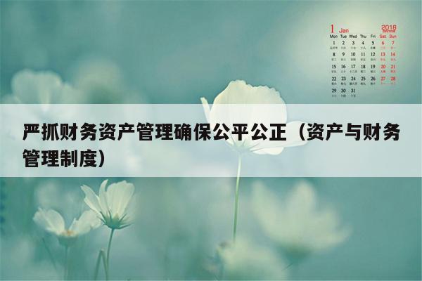 严抓财务资产管理确保公平公正（资产与财务管理制度）