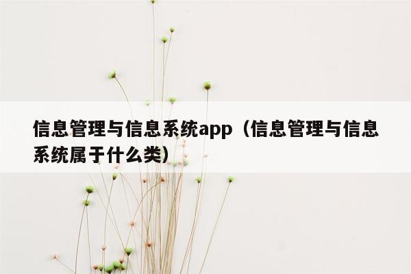 信息管理与信息系统app（信息管理与信息系统属于什么类）