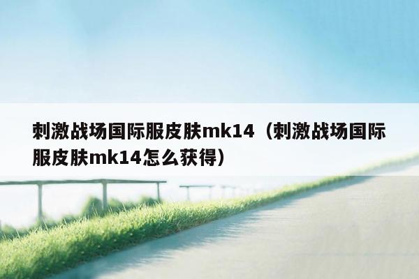 刺激战场国际服皮肤mk14（刺激战场国际服皮肤mk14怎么获得）