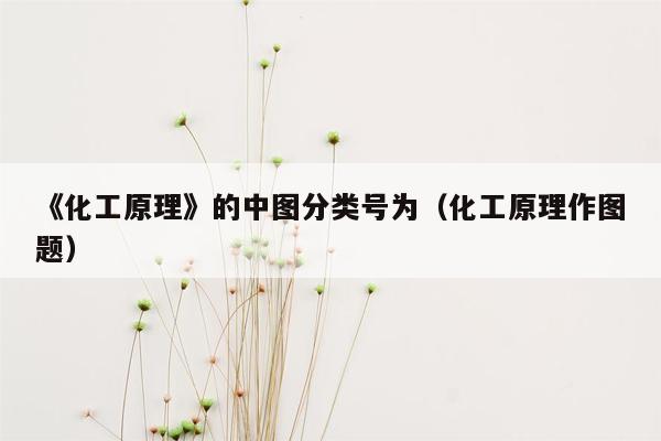 《化工原理》的中图分类号为（化工原理作图题）