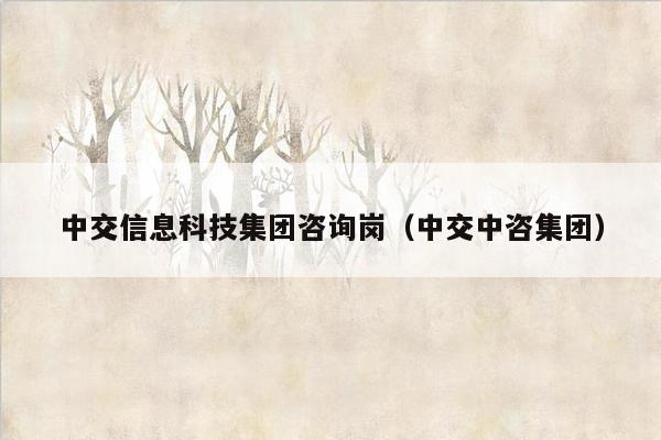 中交信息科技集团咨询岗（中交中咨集团）
