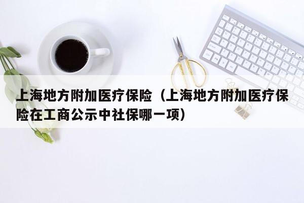 上海地方附加医疗保险（上海地方附加医疗保险在工商公示中社保哪一项）