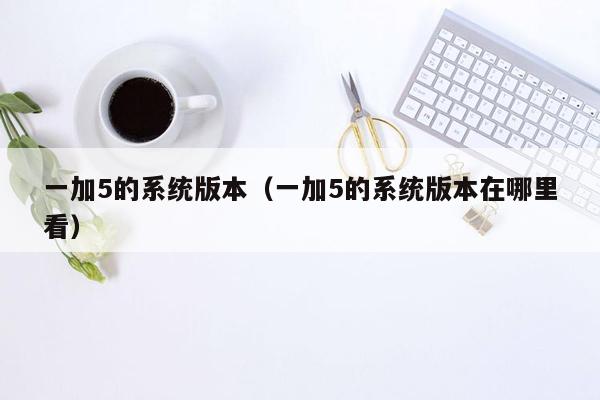 一加5的系统版本（一加5的系统版本在哪里看）