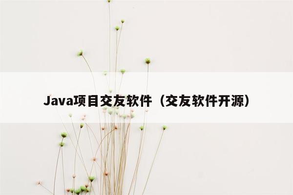 Java项目交友软件（交友软件开源）