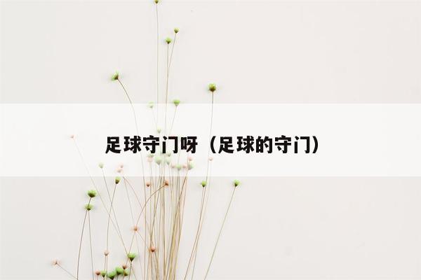 足球守门呀（足球的守门）