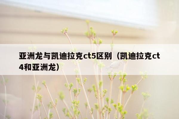 亚洲龙与凯迪拉克ct5区别（凯迪拉克ct4和亚洲龙）