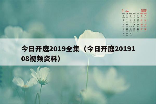 今日开庭2019全集（今日开庭2019108视频资料）