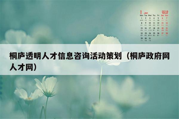 桐庐透明人才信息咨询活动策划（桐庐政府网人才网）