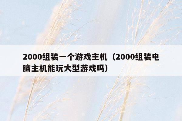 2000组装一个游戏主机（2000组装电脑主机能玩大型游戏吗）