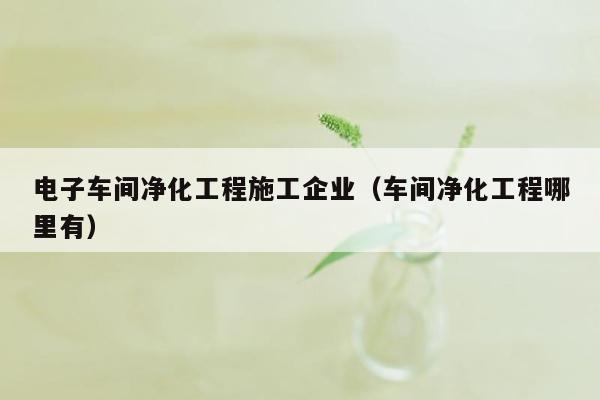 电子车间净化工程施工企业（车间净化工程哪里有）