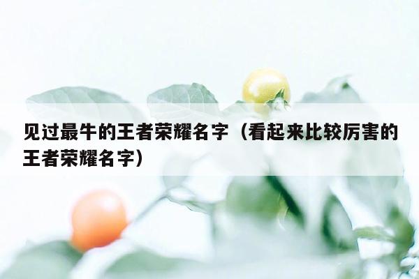 见过最牛的王者荣耀名字（看起来比较厉害的王者荣耀名字）