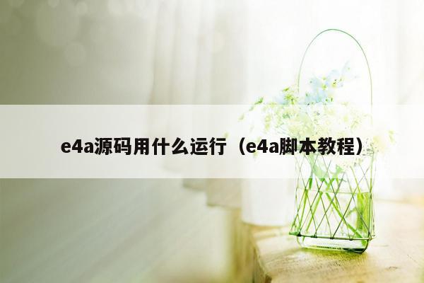 e4a源码用什么运行（e4a脚本教程）