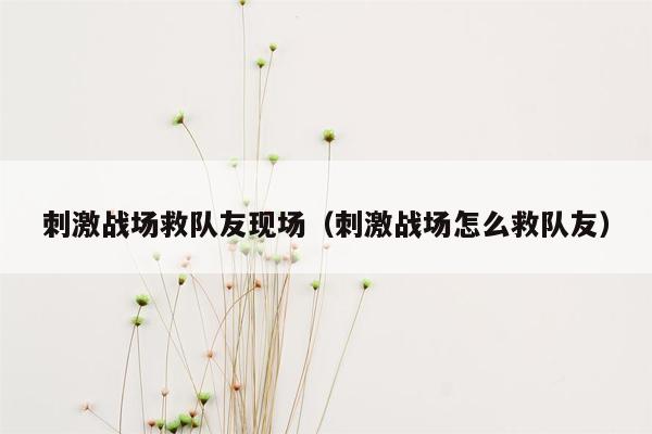 刺激战场救队友现场（刺激战场怎么救队友）