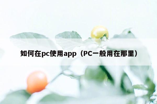 如何在pc使用app（PC一般用在那里）