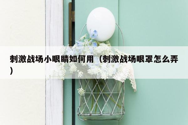 刺激战场小眼睛如何用（刺激战场眼罩怎么弄）