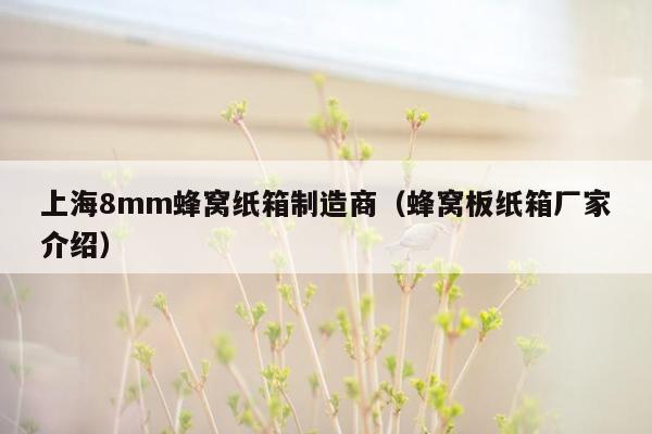 上海8mm蜂窝纸箱制造商（蜂窝板纸箱厂家介绍）