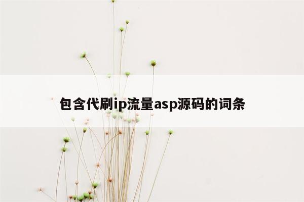 包含代刷ip流量asp源码的词条