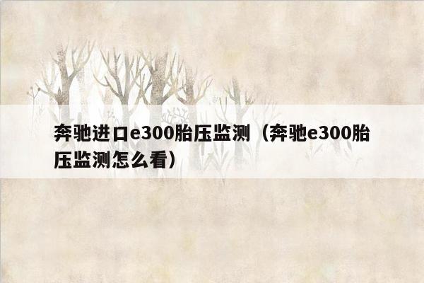 奔驰进口e300胎压监测（奔驰e300胎压监测怎么看）