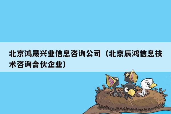 北京鸿晟兴业信息咨询公司（北京辰鸿信息技术咨询合伙企业）