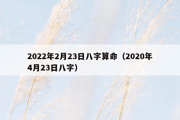 2022年2月23日八字算命（2020年4月23日八字）