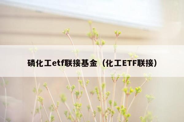 磷化工etf联接基金（化工ETF联接）