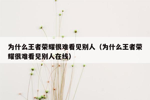 为什么王者荣耀很难看见别人（为什么王者荣耀很难看见别人在线）